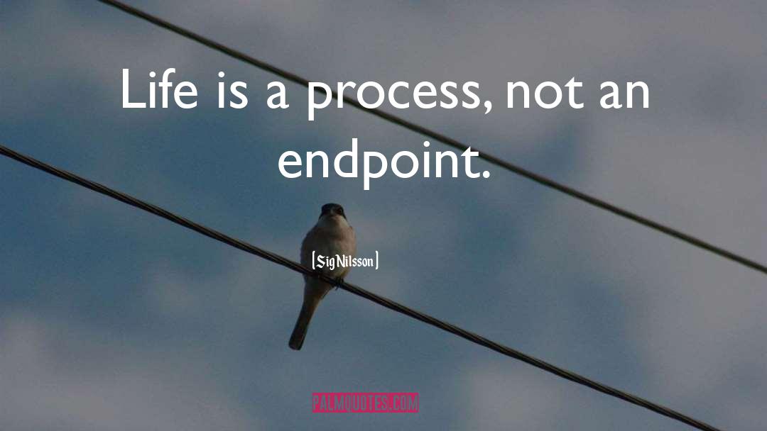 Sig Nilsson Quotes: Life is a process, not