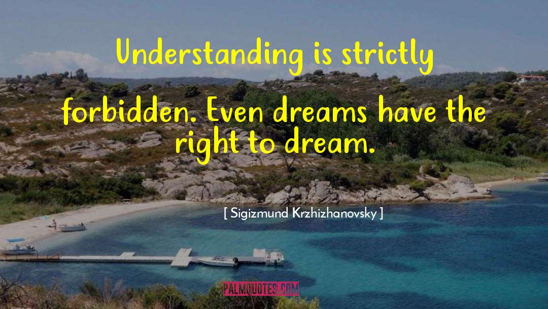 Sigizmund Krzhizhanovsky Quotes: Understanding is strictly forbidden. Even