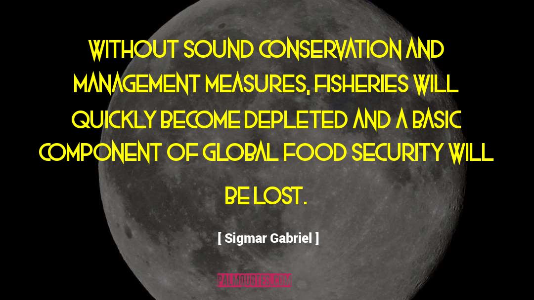 Sigmar Gabriel Quotes: Without sound conservation and management