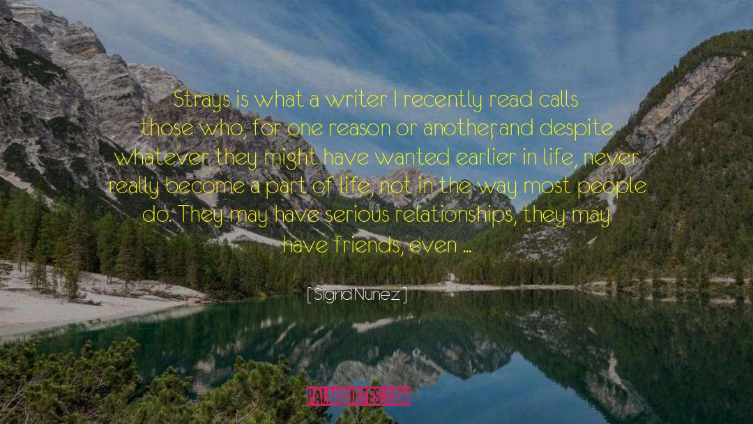 Sigrid Nunez Quotes: Strays is what a writer