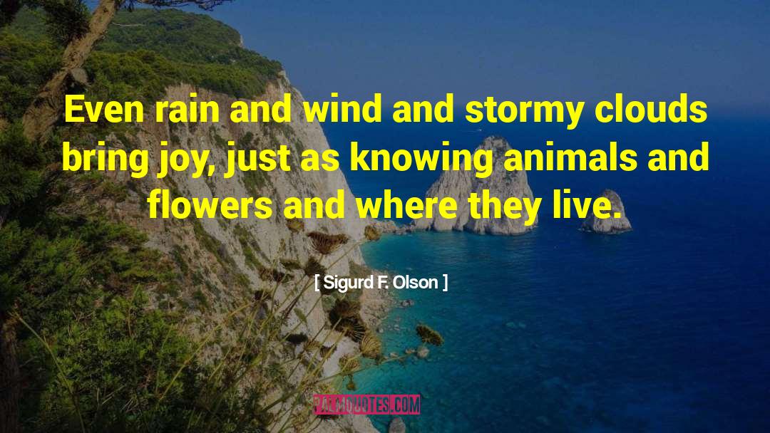 Sigurd F. Olson Quotes: Even rain and wind and