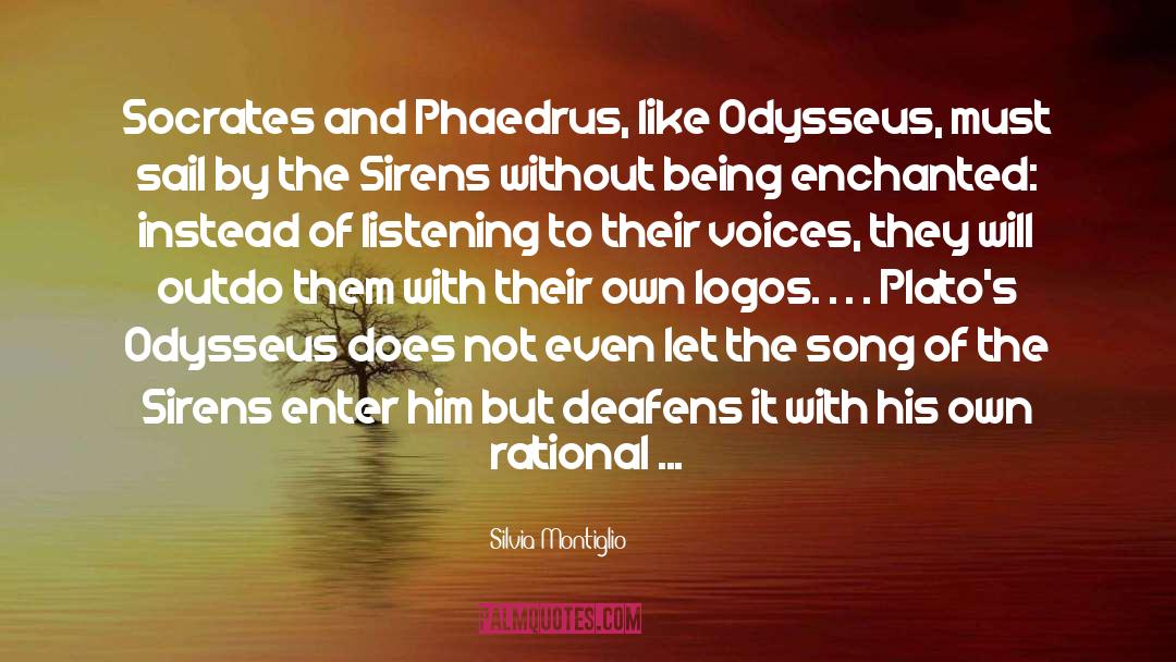 Silvia Montiglio Quotes: Socrates and Phaedrus, like Odysseus,