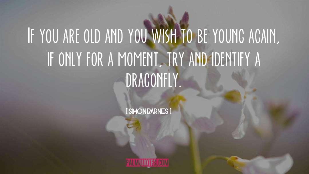 Simon Barnes Quotes: If you are old and