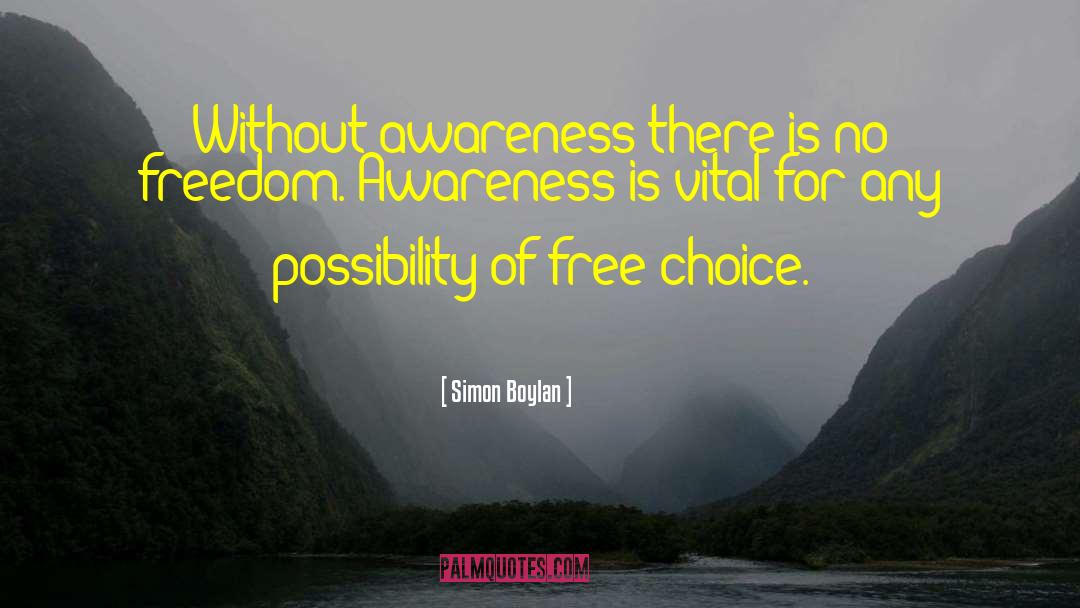 Simon Boylan Quotes: Without awareness there is no