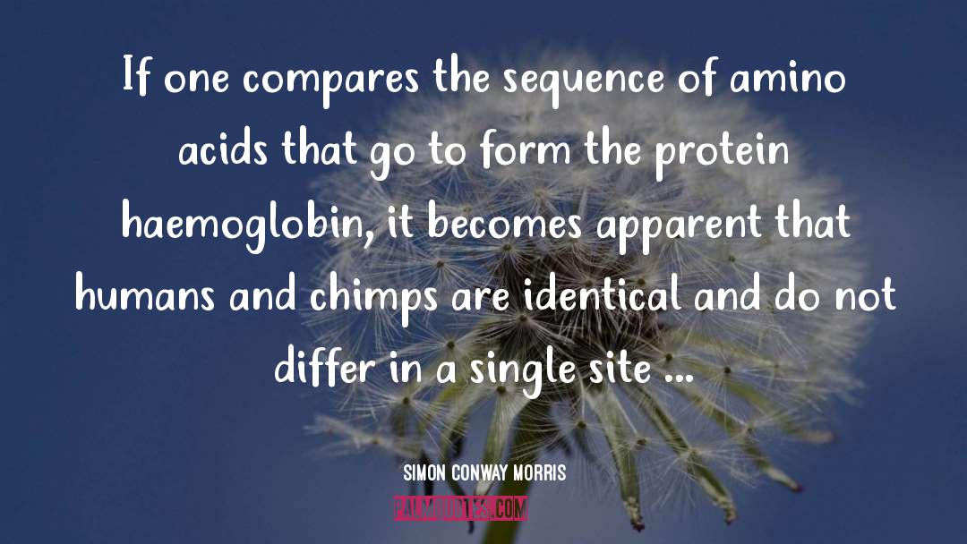 Simon Conway Morris Quotes: If one compares the sequence