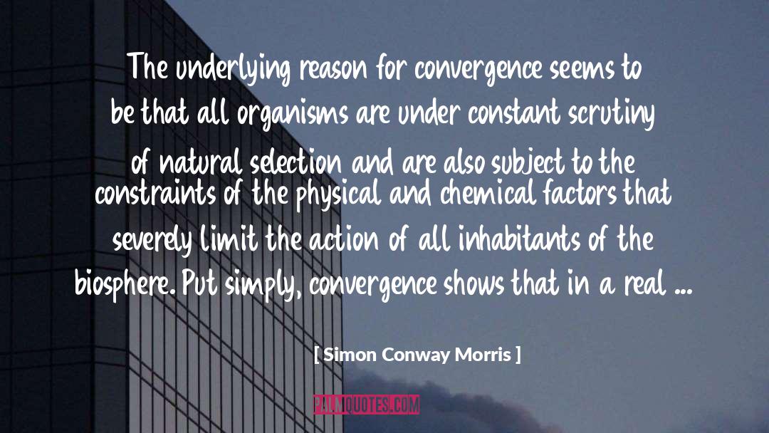 Simon Conway Morris Quotes: The underlying reason for convergence