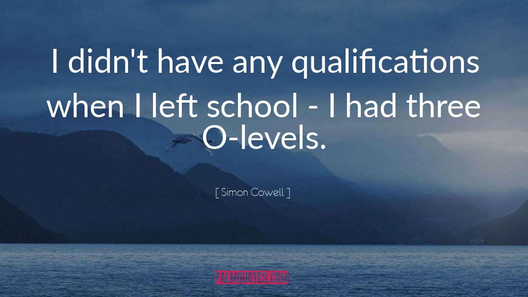 Simon Cowell Quotes: I didn't have any qualifications