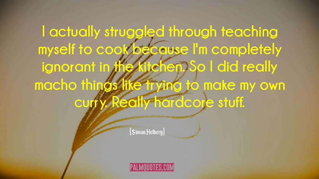 Simon Helberg Quotes: I actually struggled through teaching