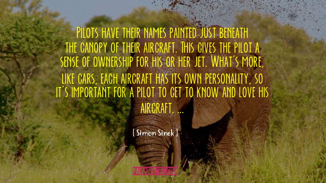 Simon Sinek Quotes: Pilots have their names painted