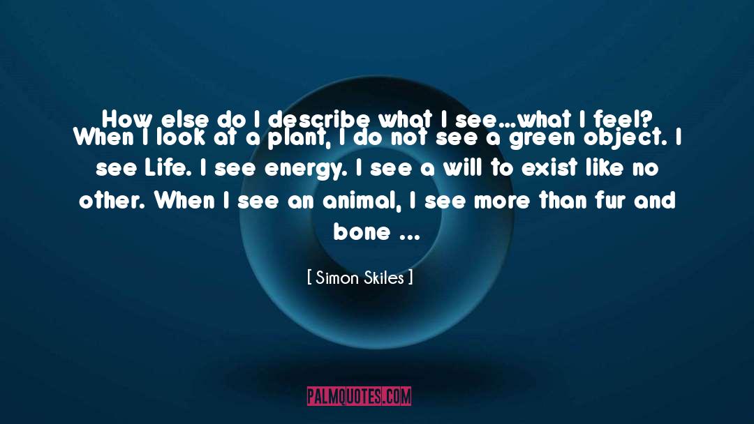 Simon Skiles Quotes: How else do I describe