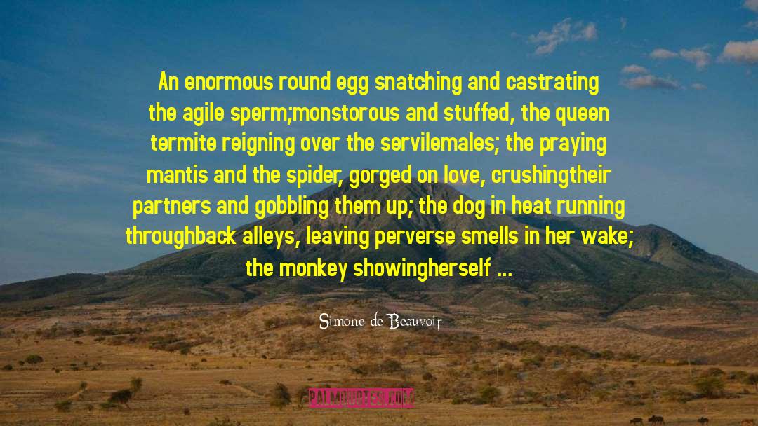 Simone De Beauvoir Quotes: An enormous round egg snatching