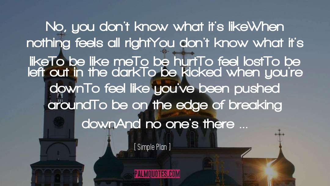 Simple Plan Quotes: No, you don't know what