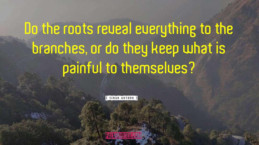 Sinan Antoon Quotes: Do the roots reveal everything