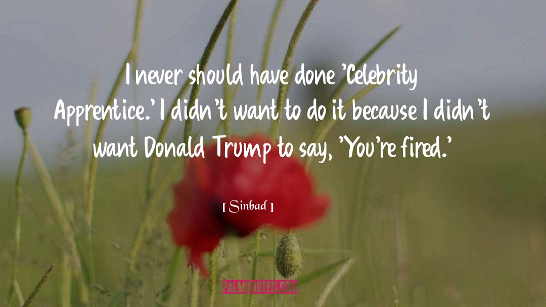 Sinbad Quotes: I never should have done