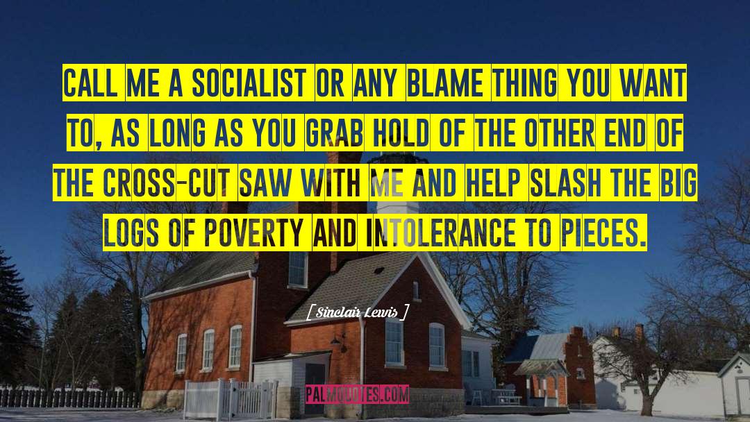 Sinclair Lewis Quotes: Call me a socialist or