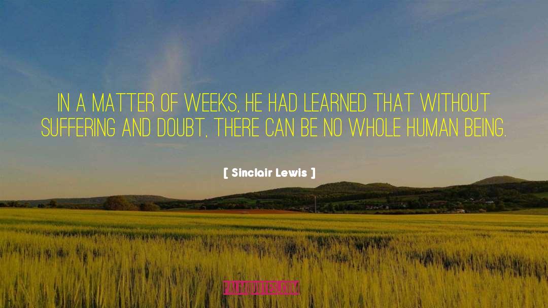 Sinclair Lewis Quotes: In a matter of weeks,