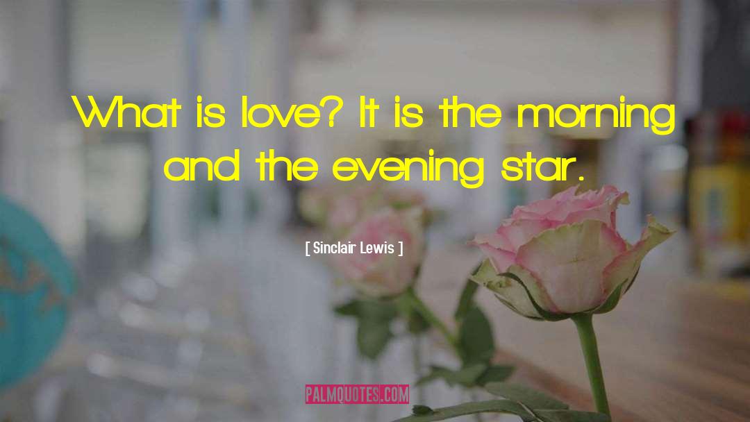 Sinclair Lewis Quotes: What is love? It is