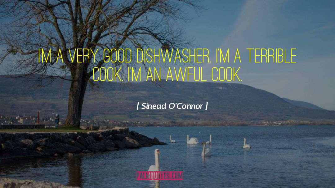Sinead O'Connor Quotes: I'm a very good dishwasher.