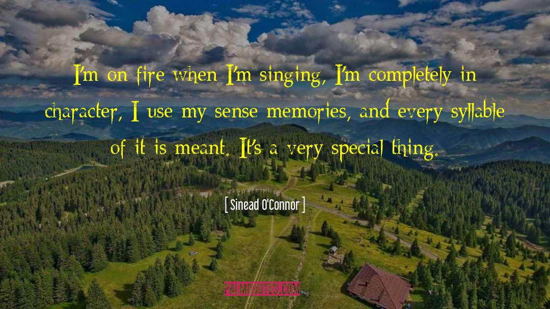 Sinead O'Connor Quotes: I'm on fire when I'm