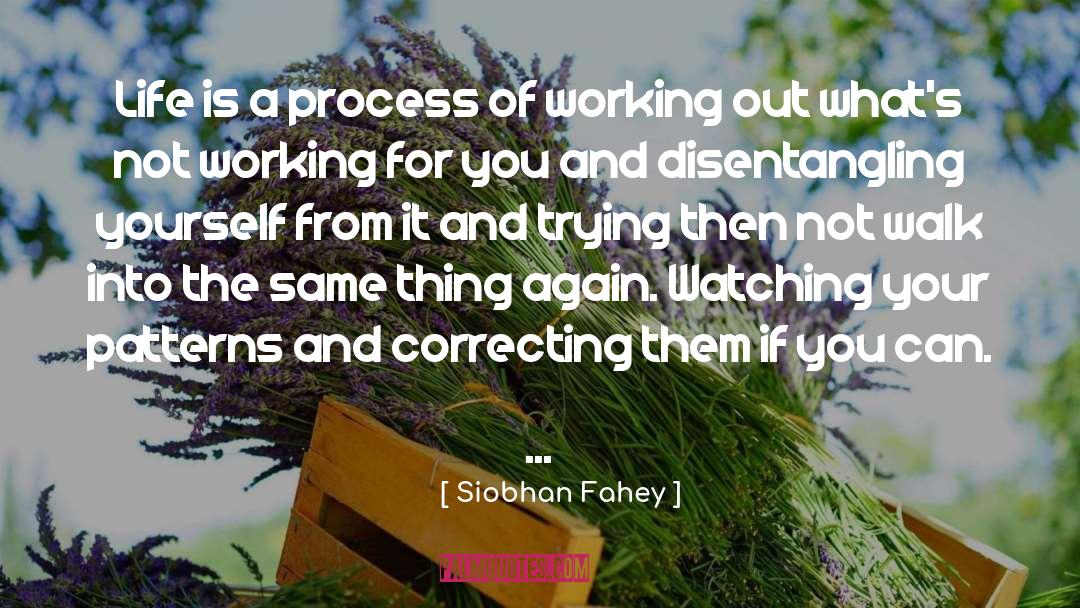 Siobhan Fahey Quotes: Life is a process of