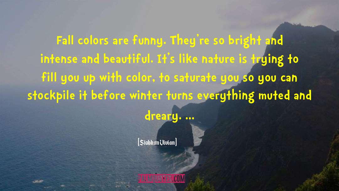 Siobhan Vivian Quotes: Fall colors are funny. They're
