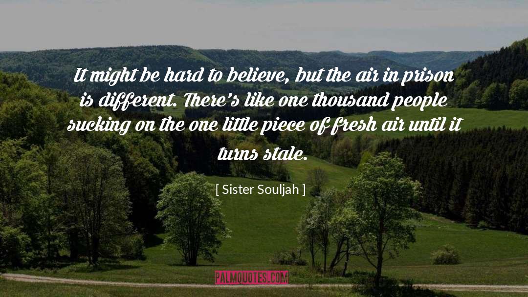 Sister Souljah Quotes: It might be hard to