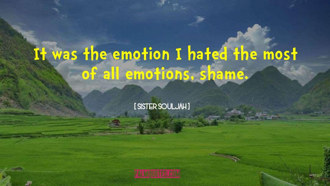 Sister Souljah Quotes: It was the emotion I