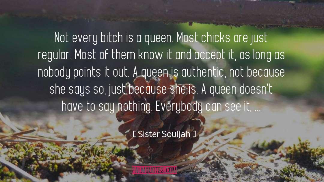 Sister Souljah Quotes: Not every bitch is a