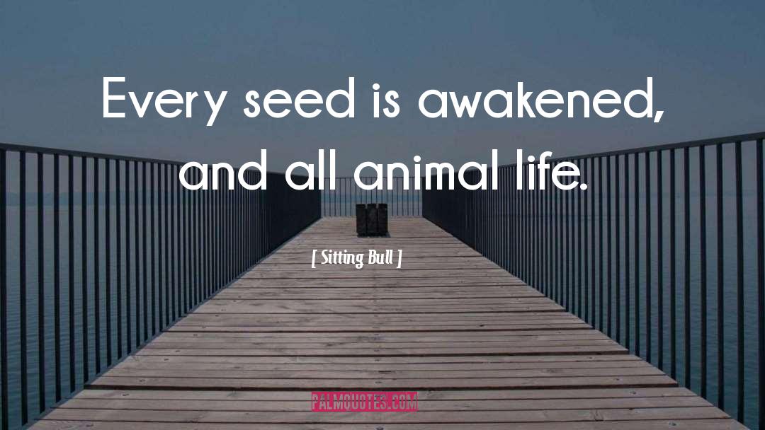 Sitting Bull Quotes: Every seed is awakened, and