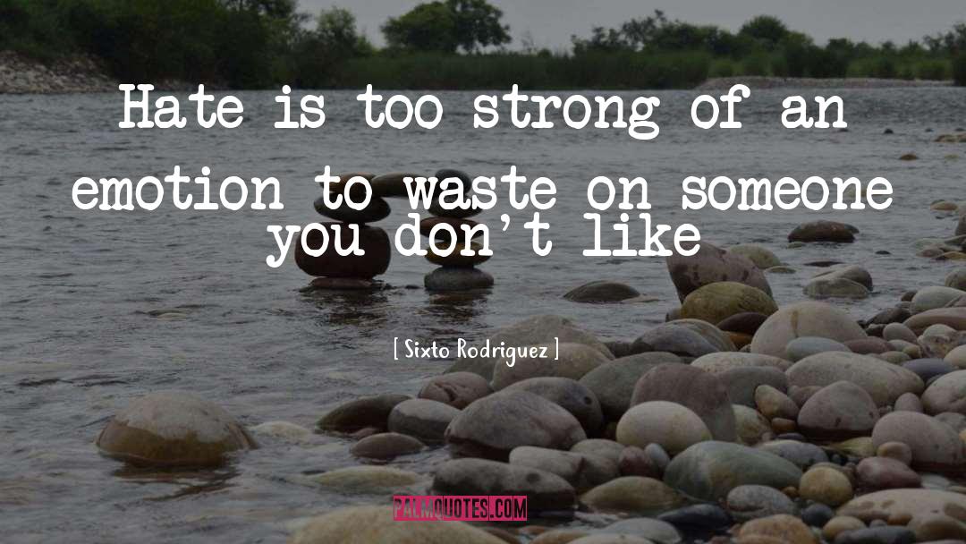 Sixto Rodriguez Quotes: Hate is too strong of