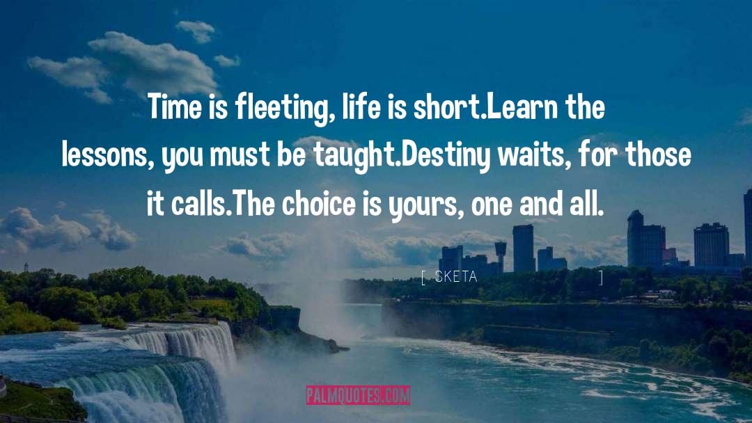 SKETA Quotes: Time is fleeting, life is