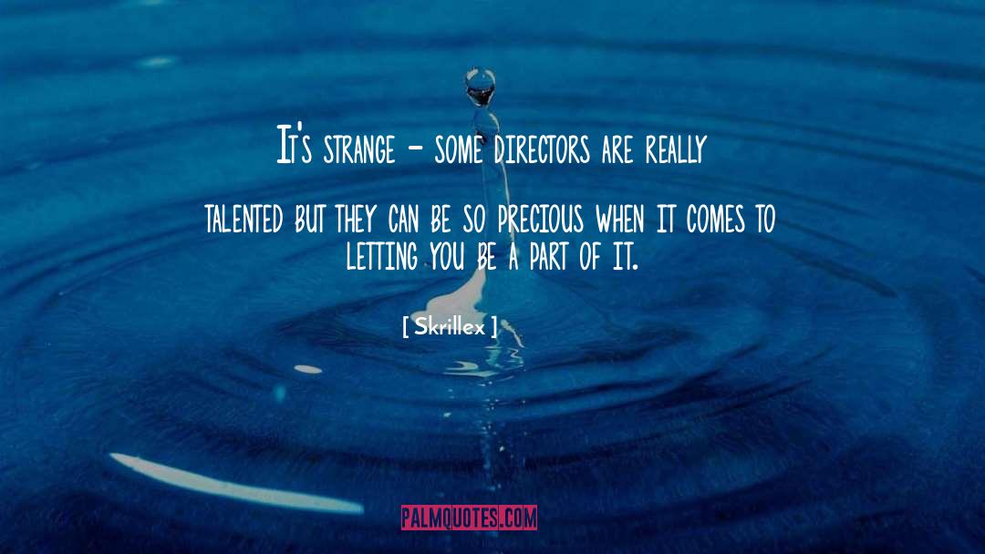 Skrillex Quotes: It's strange - some directors