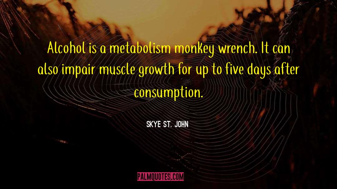 Skye St. John Quotes: Alcohol is a metabolism monkey