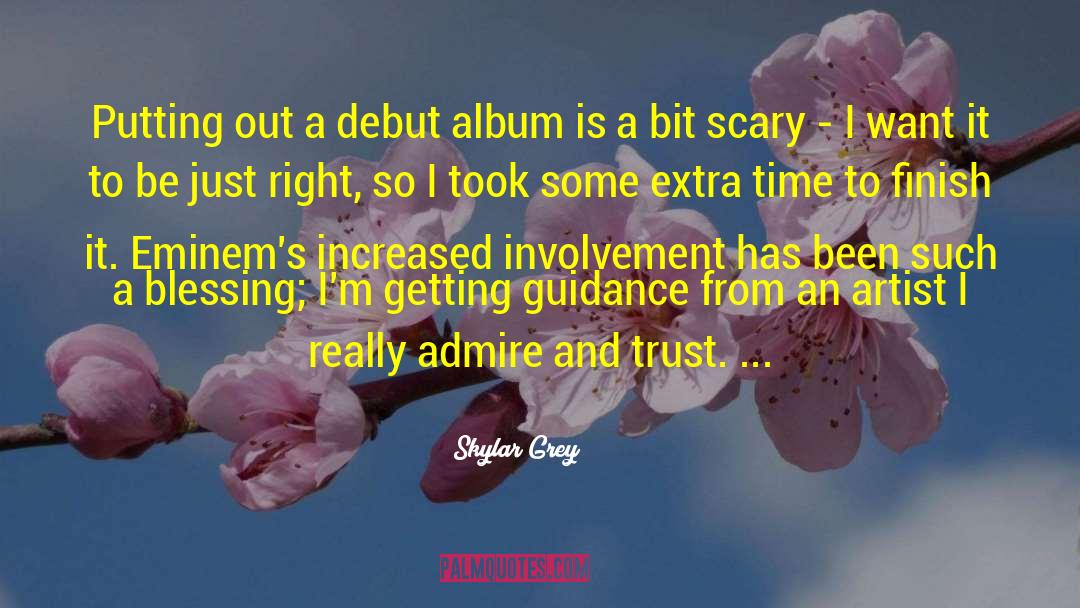 Skylar Grey Quotes: Putting out a debut album