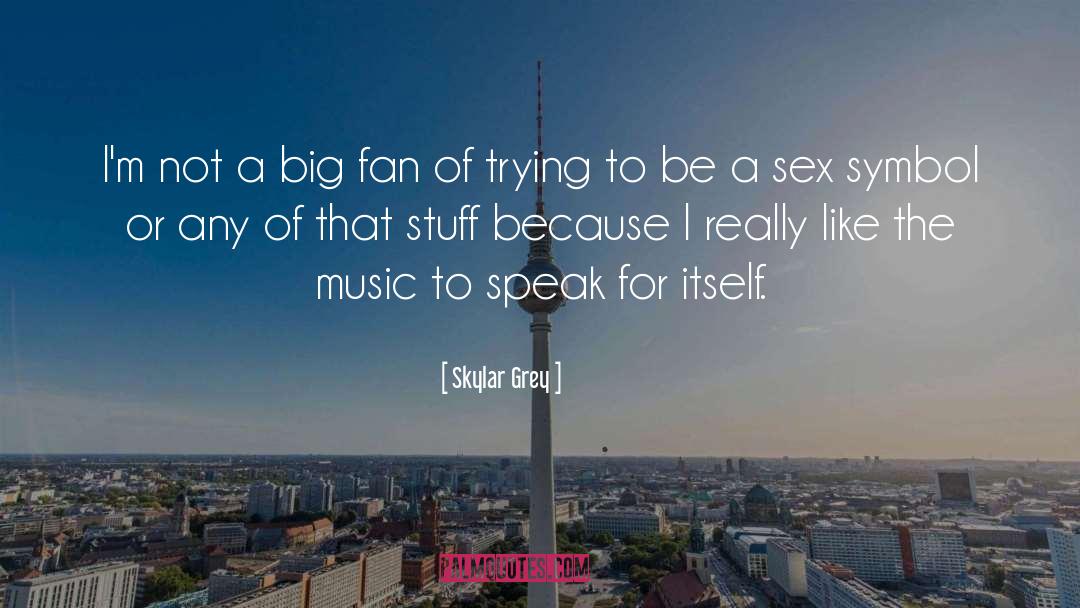 Skylar Grey Quotes: I'm not a big fan