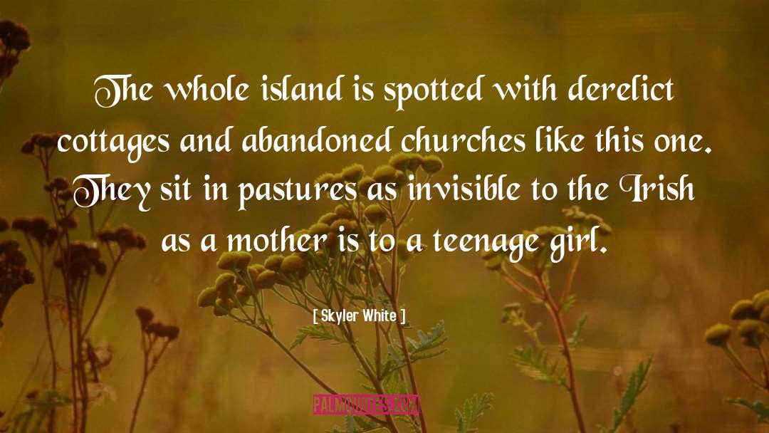 Skyler White Quotes: The whole island is spotted