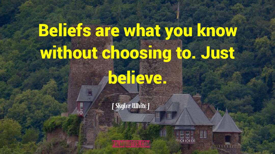 Skyler White Quotes: Beliefs are what you know