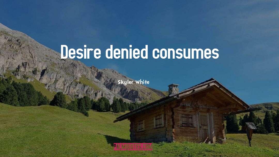 Skyler White Quotes: Desire denied consumes