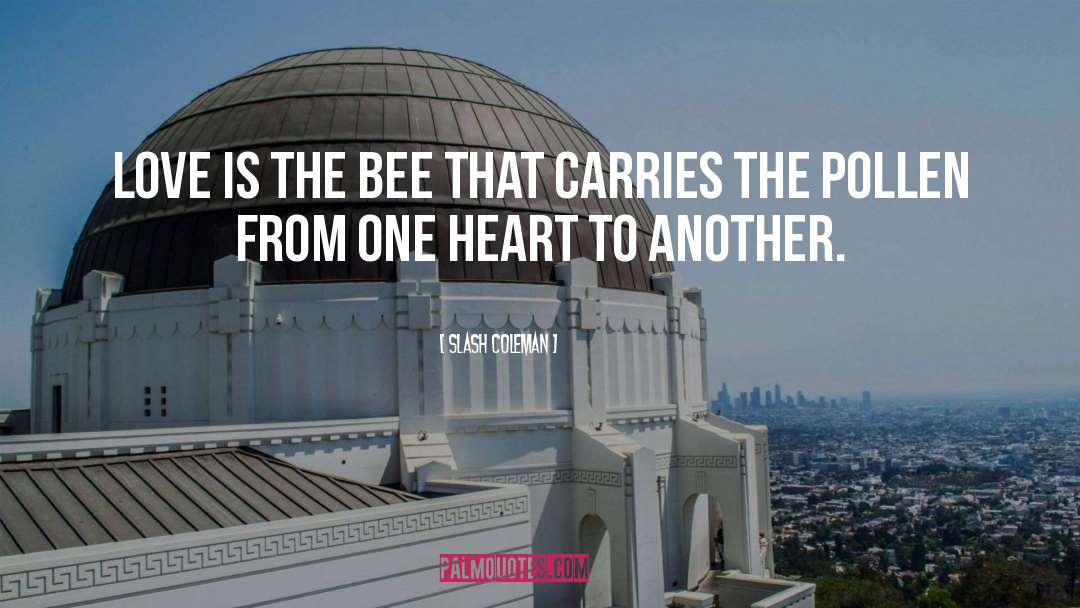 Slash Coleman Quotes: Love is the bee that