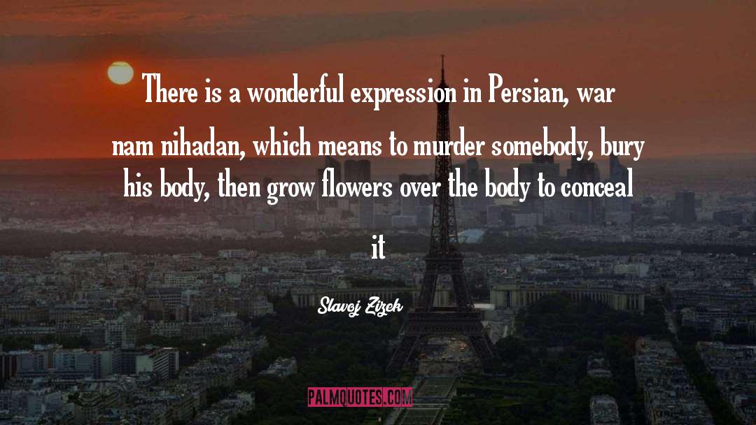 Slavoj Zizek Quotes: There is a wonderful expression
