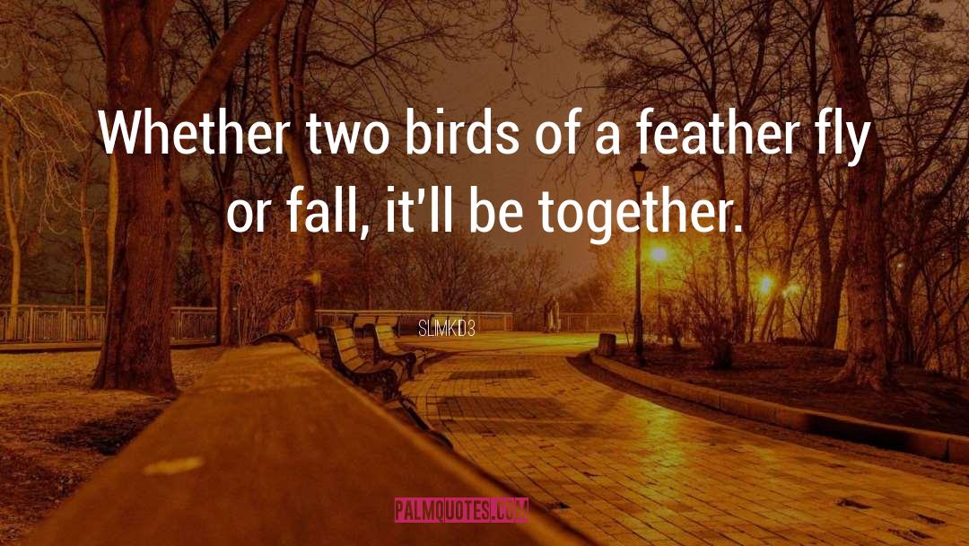 Slimkid3 Quotes: Whether two birds of a