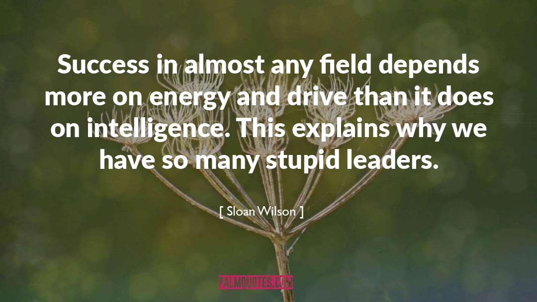 Sloan Wilson Quotes: Success in almost any field