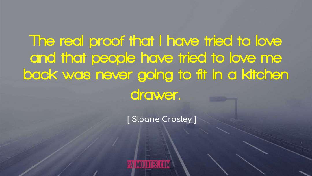 Sloane Crosley Quotes: The real proof that I