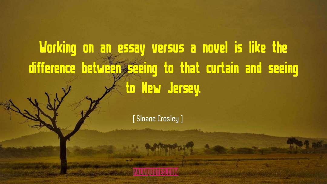 Sloane Crosley Quotes: Working on an essay versus