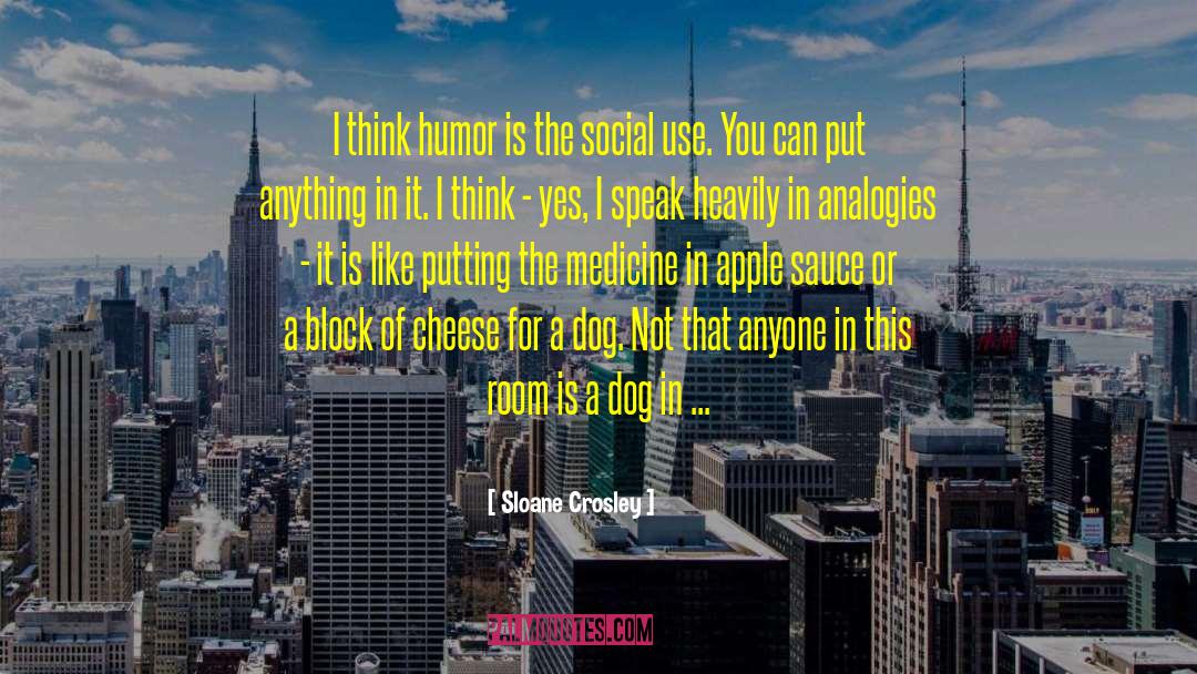 Sloane Crosley Quotes: I think humor is the