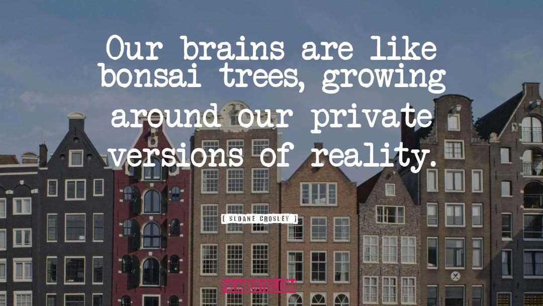 Sloane Crosley Quotes: Our brains are like bonsai