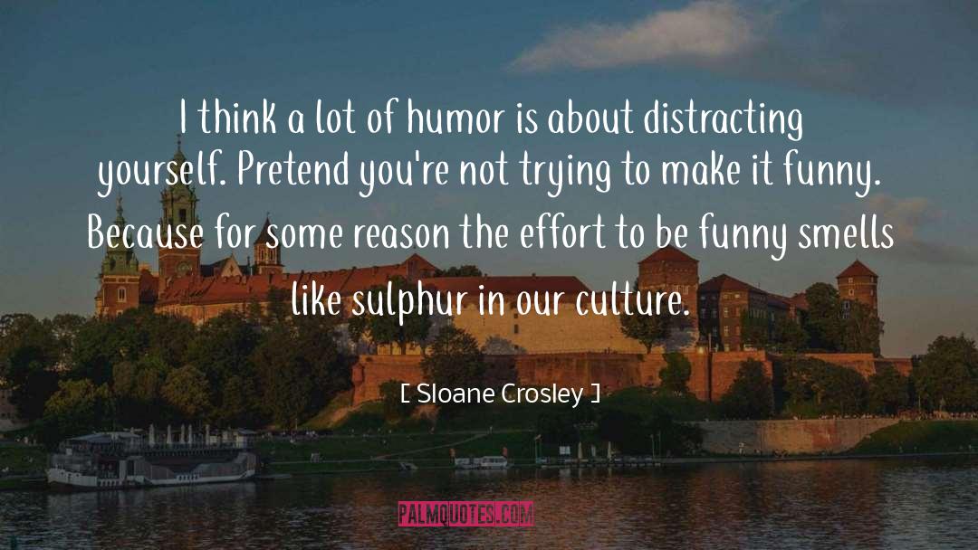 Sloane Crosley Quotes: I think a lot of