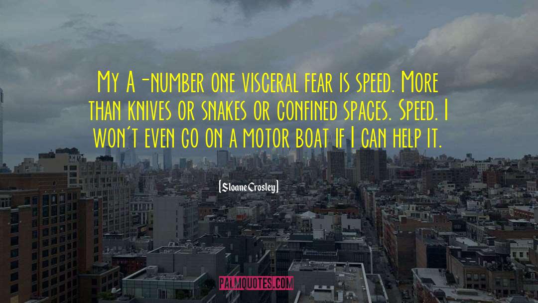 Sloane Crosley Quotes: My A-number one visceral fear
