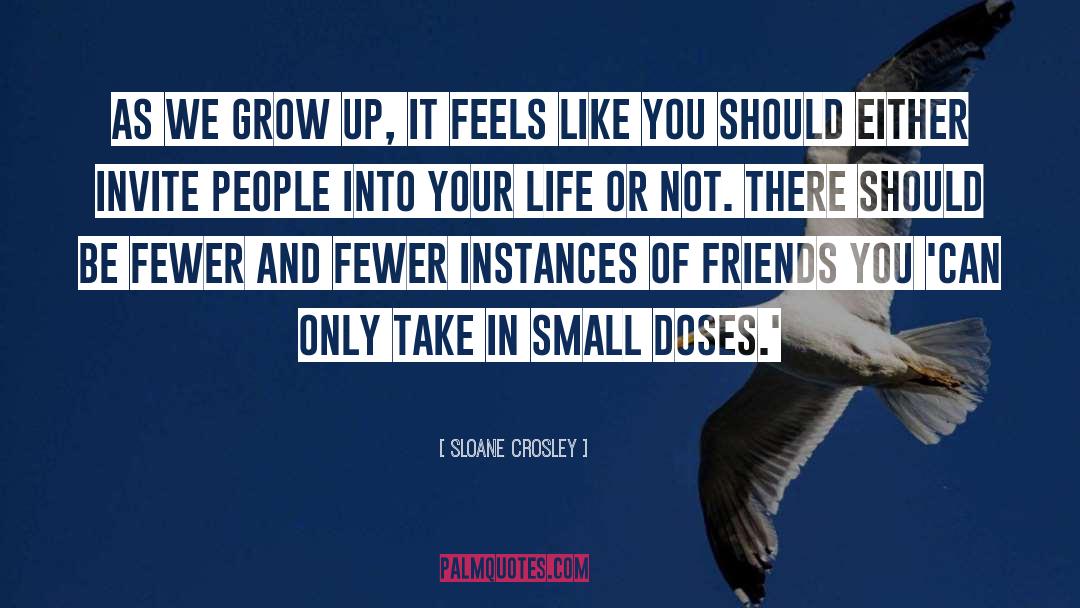 Sloane Crosley Quotes: As we grow up, it