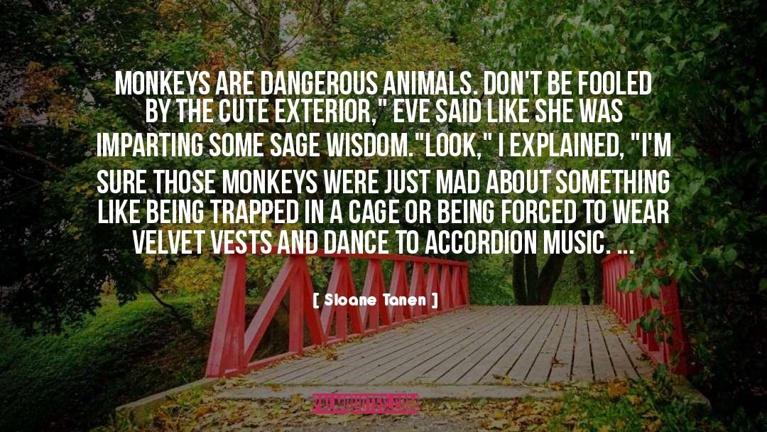 Sloane Tanen Quotes: Monkeys are dangerous animals. Don't